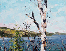 Load image into Gallery viewer, Birch At Artist Point