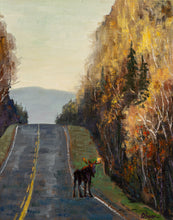 Load image into Gallery viewer, Finally Happened on the Sawbill Trail