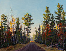 Load image into Gallery viewer, Morning Drive on the Sawbill Trail