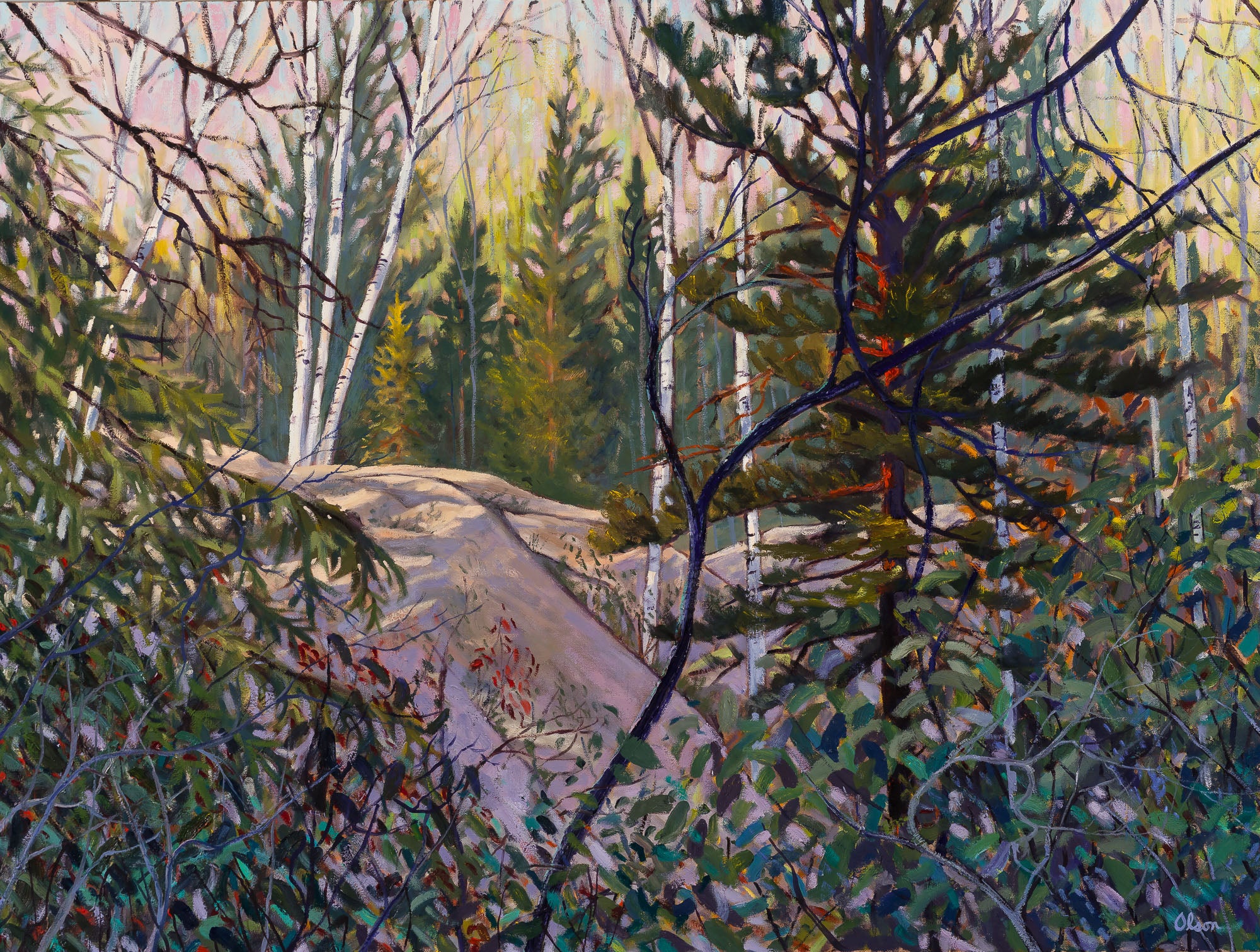 Near Portage Lake