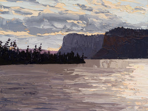 Palisade Study