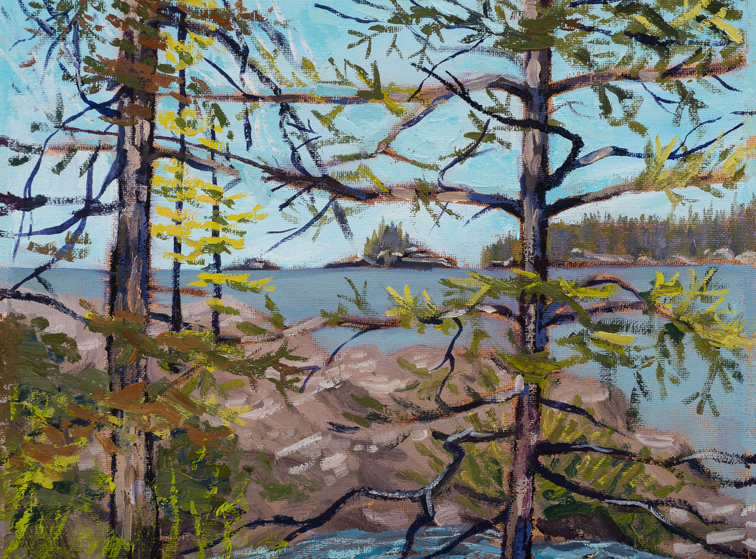 Scoville Point, Isle Royale