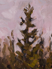 Load image into Gallery viewer, East Bearskin Lake Cedar