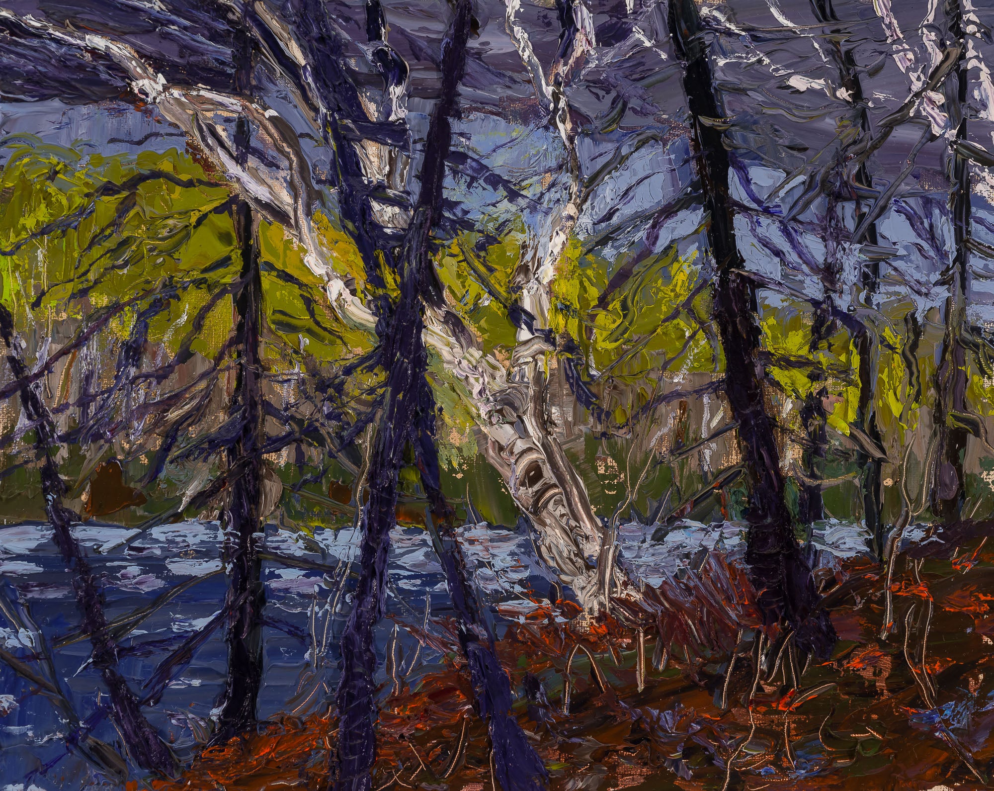 Storm Approaching East Bearskin Lake