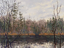 Load image into Gallery viewer, Spring Willows at East Bearskin Lake
